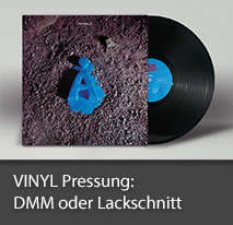 Vinyl Pressung bei CSM Production